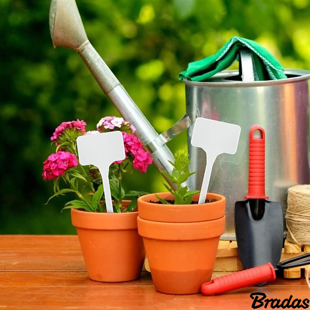 Bradas Pflanzschilder Pflanzenstecker Beetstecker Kräuterschild 10 Stück