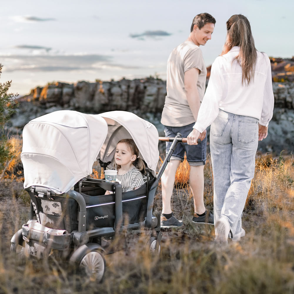 BabyGo Bollerwagen Zwillingswagen Kinderwagen Buggy Cozy Rider