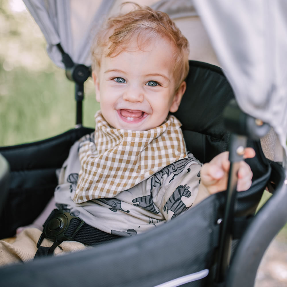 BabyGo Bollerwagen Zwillingswagen Kinderwagen Buggy Cozy Rider