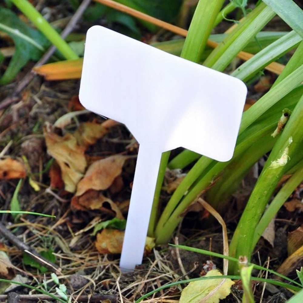 Bradas Pflanzschilder Pflanzenstecker Beetstecker Kräuterschild 10 Stück