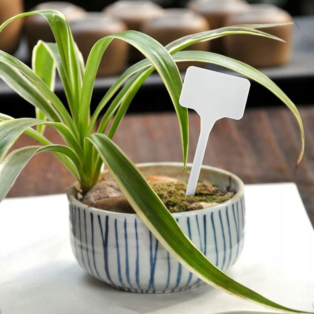 Bradas Pflanzschilder Pflanzenstecker Beetstecker Kräuterschild 10 Stück