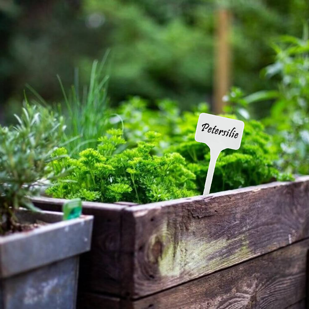 Bradas Pflanzschilder Pflanzenstecker Beetstecker Kräuterschild 10 Stück