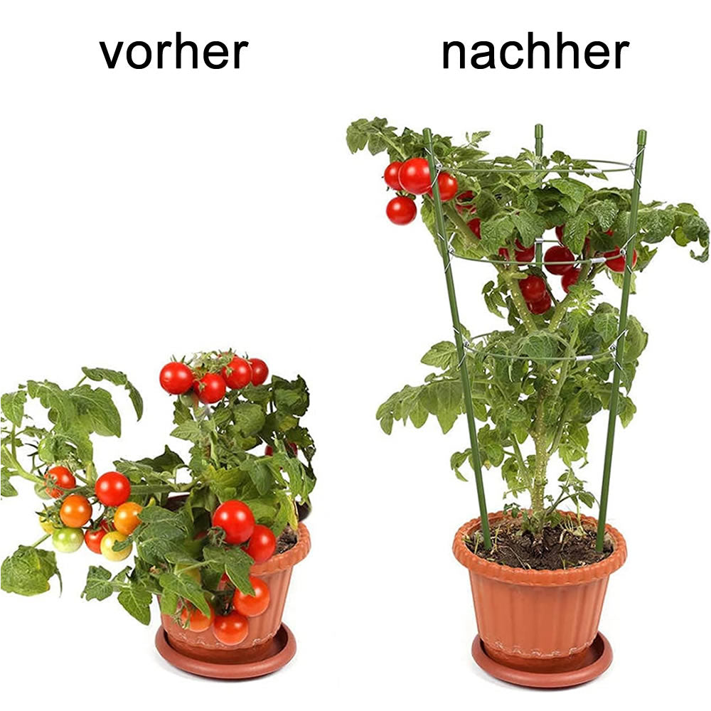 Bradas Rankhilfe Stützringe Pflanzenstütze Gartenpflanze Grün