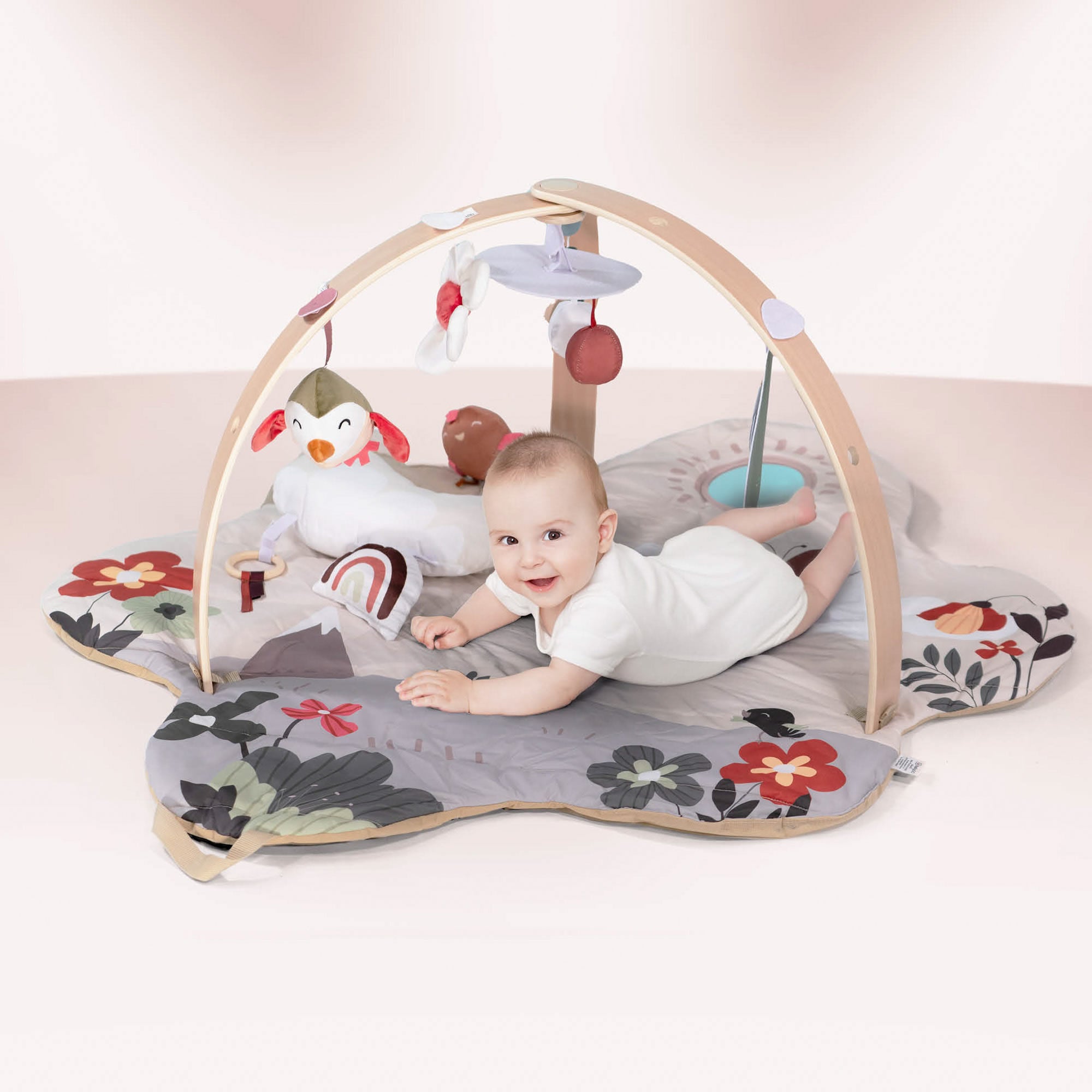 BabyGO Bianca Krabbeldecke mit Spielbogen & Activity Center