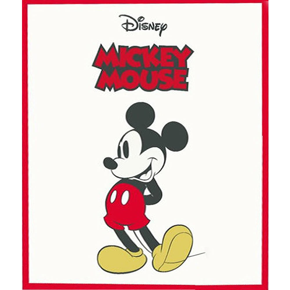 Disney children's fleece blanket cuddly blanket 100 x 150 cm