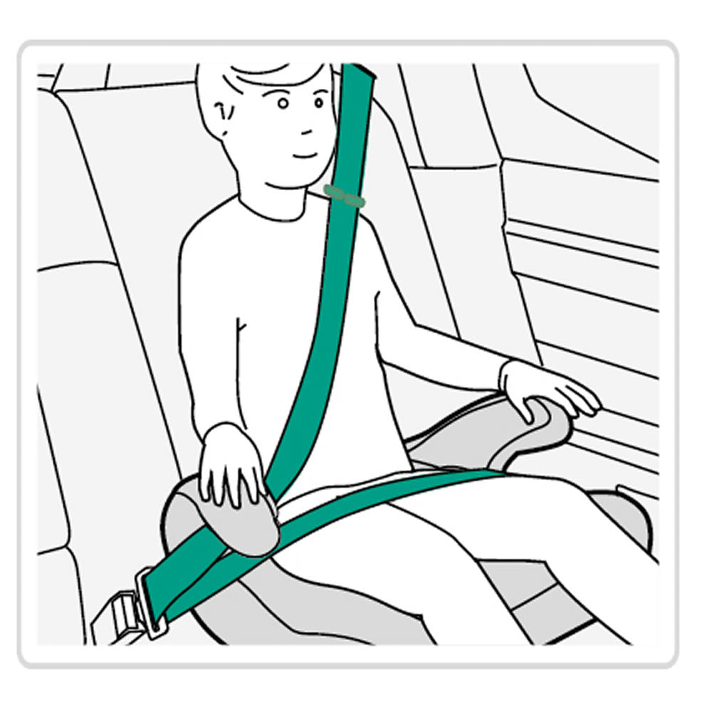 PAW Patrol Marshall Sitzerhöhung – Kindersitz 125–150 cm | i-Size R129