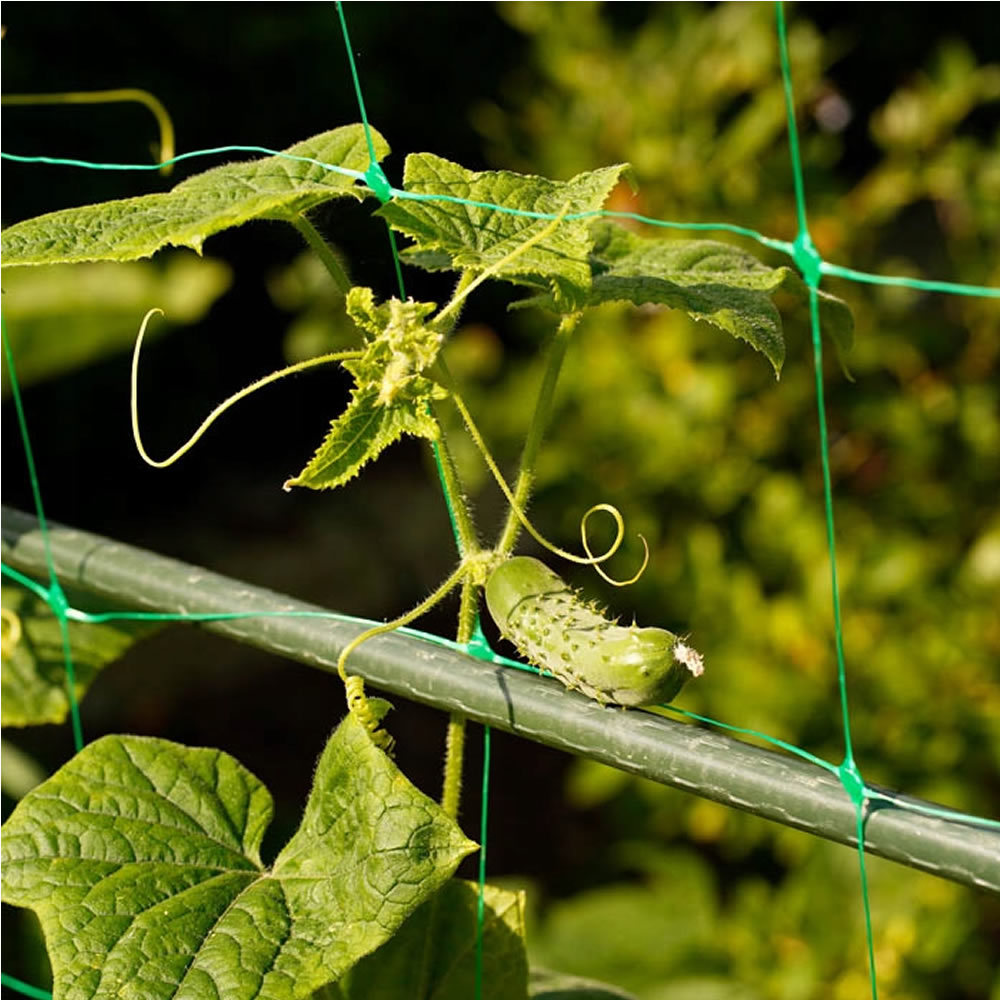 Bradas Ranknetz Rankhilfe Pflanzennetz für Gurken Tomaten