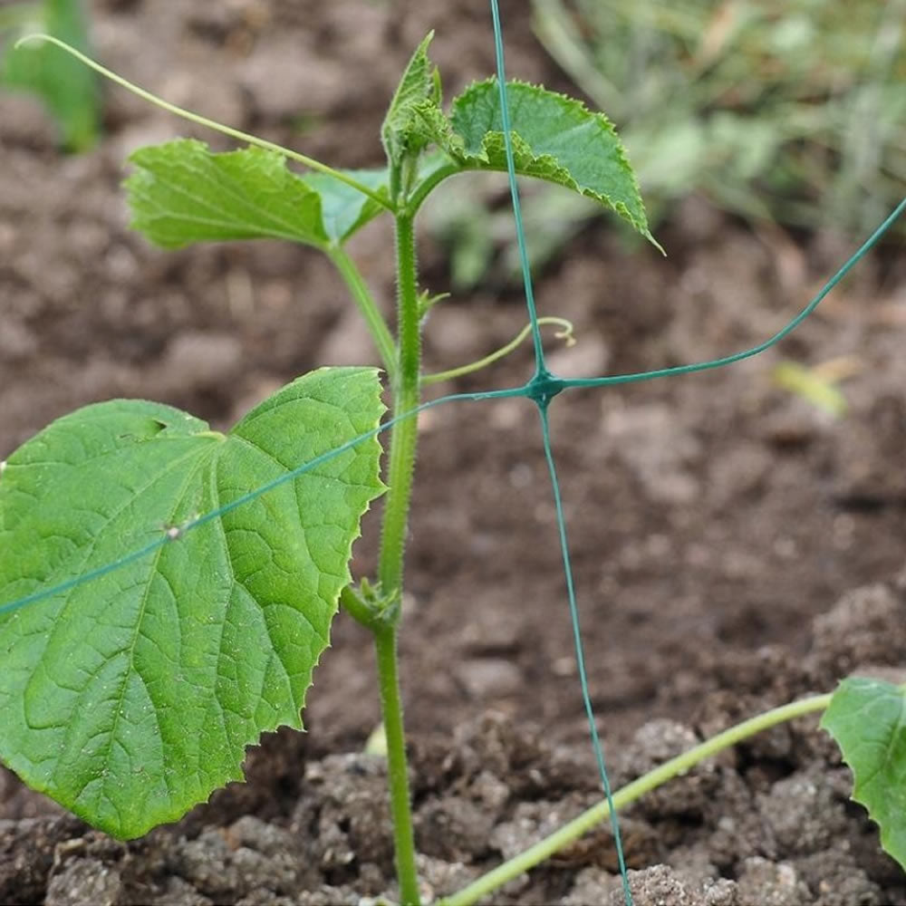 Bradas Ranknetz Rankhilfe Pflanzennetz für Gurken Tomaten