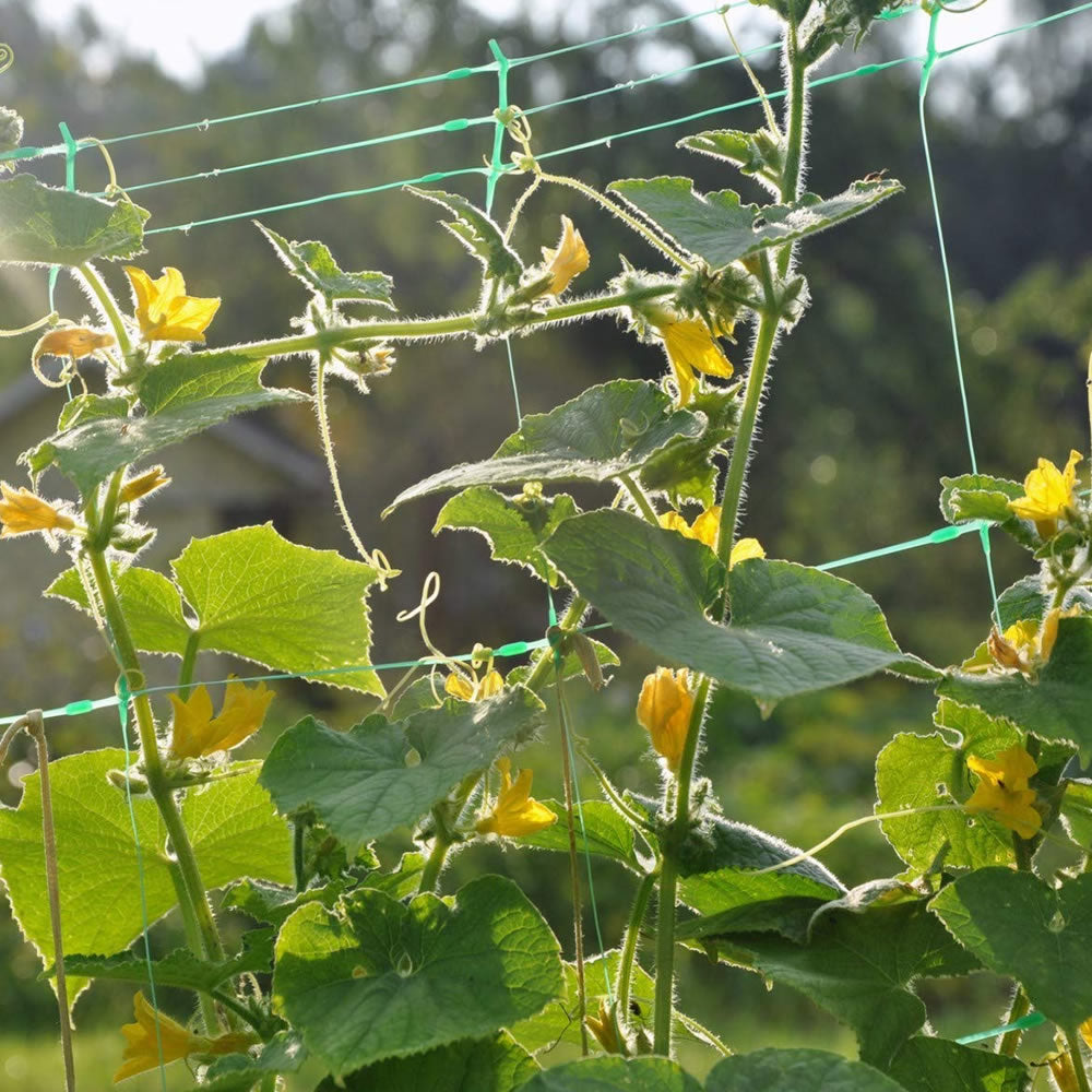 Bradas Ranknetz Rankhilfe Pflanzennetz für Gurken Tomaten