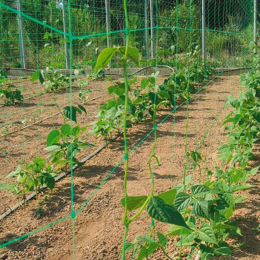 Bradas Ranknetz Rankhilfe Pflanzennetz für Gurken Tomaten