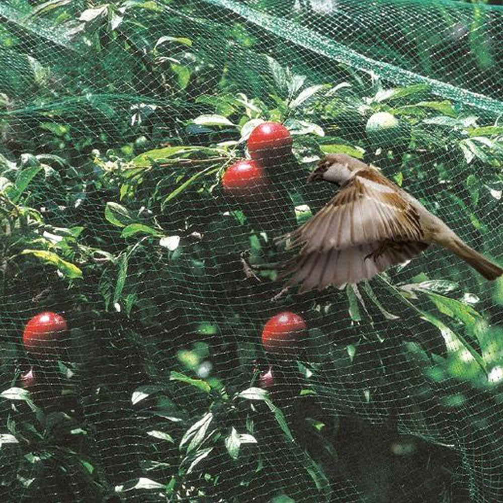 Bradas Vogelnetz Vogelschutznetz Vogelschutz Gartennetz Grün Obst