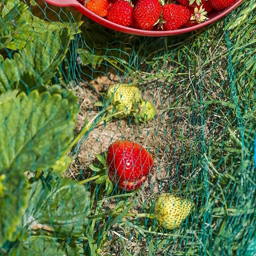 Bradas Vogelnetz Vogelschutznetz Vogelschutz Gartennetz Grün Obst